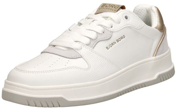 T2700 LEA - large