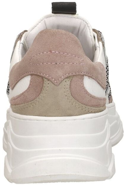 Schnürschuhe low - large