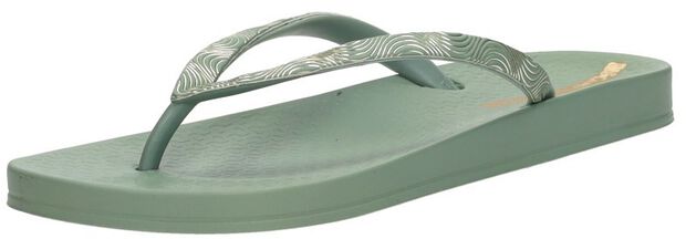 Anatomic Mesh - large