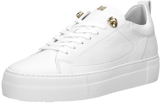 Women Low Cut Sneaker - large