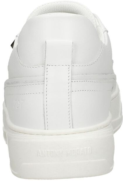 Schnürschuhe low - large