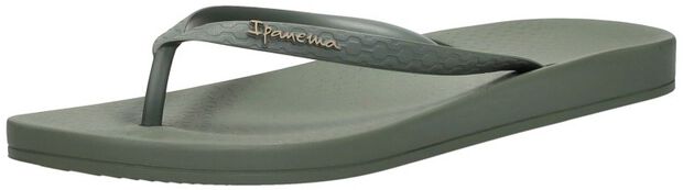 Anatomic Colors - large