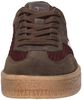 Sneakers Laag - small