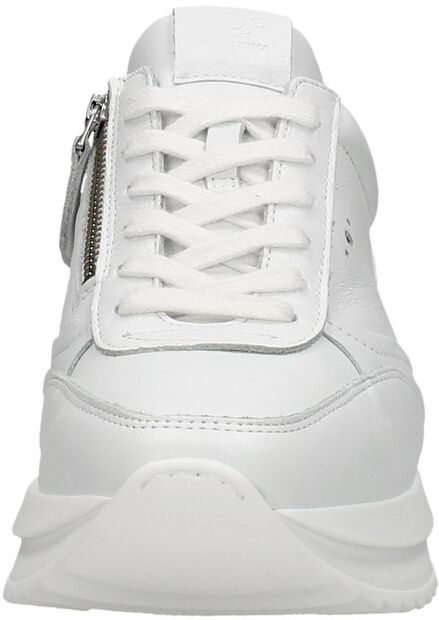 Schnürschuhe low - large