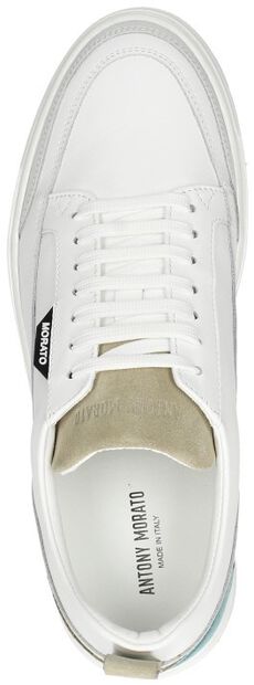 Schnürschuhe low - large