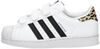 Superstar CF C - small
