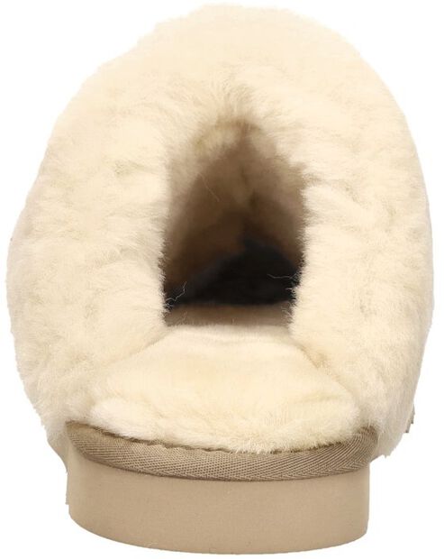 Collie - large