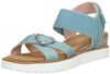 Miss Desert Kiss Hi - small