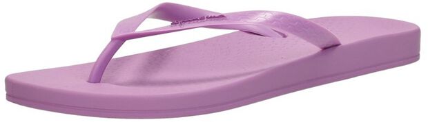 Anatomic Colors - large