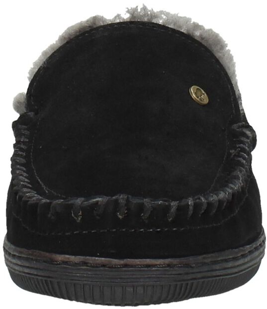 Grizzly - large