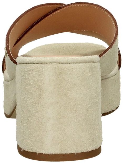 FRS1447 - large