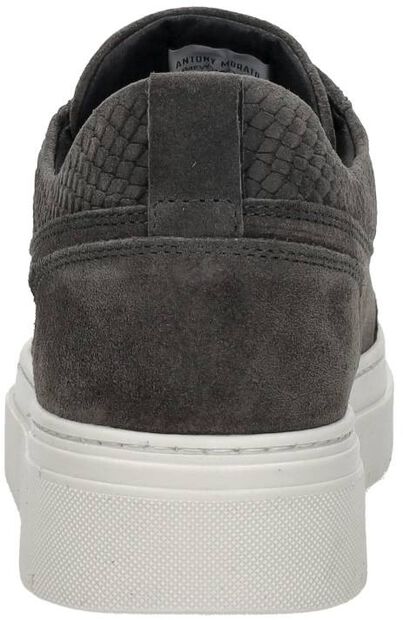 Schnürschuhe low - large