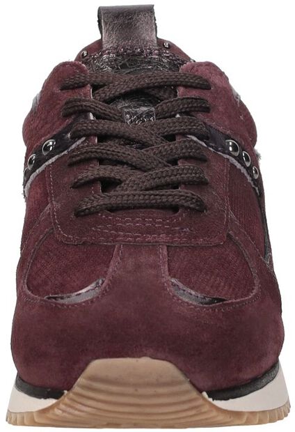 Sneakers Laag - large