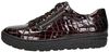 Phil Shoe - small