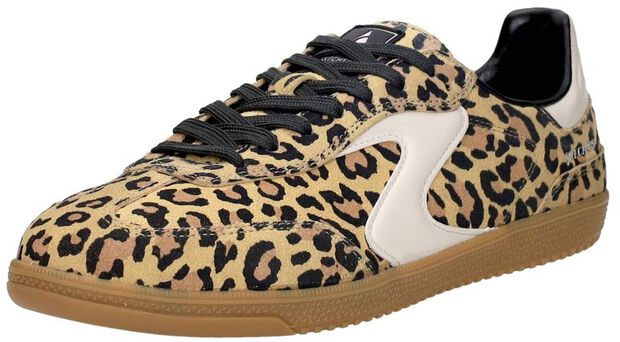 Hotshot - On The Prowl - large