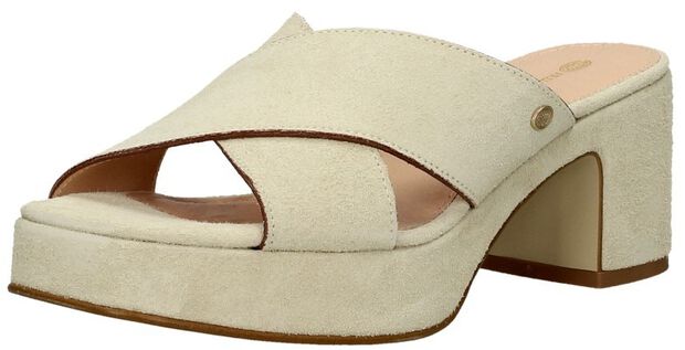 FRS1447 - large