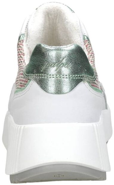 Chavi - large
