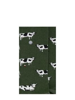 Cows
