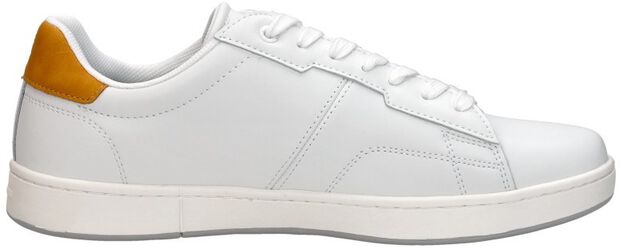 Cadet POP M - large