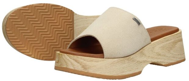 SHS1332 - large