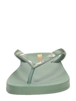Anatomic Mesh