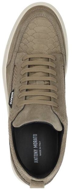 Schnürschuhe low - large