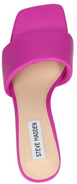 Lovebird - large