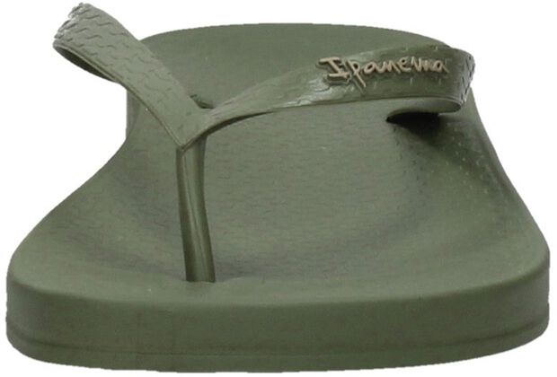 Anatomic Tan Colors - large