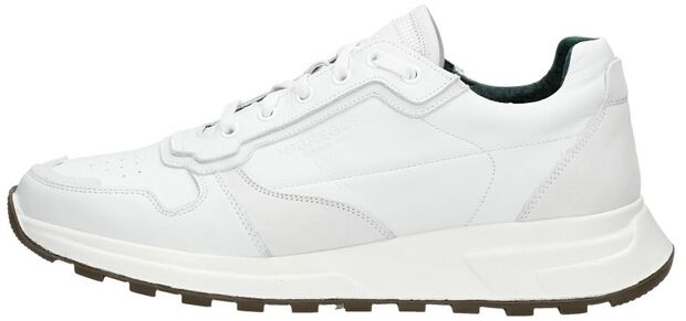 Gregor 01 - large