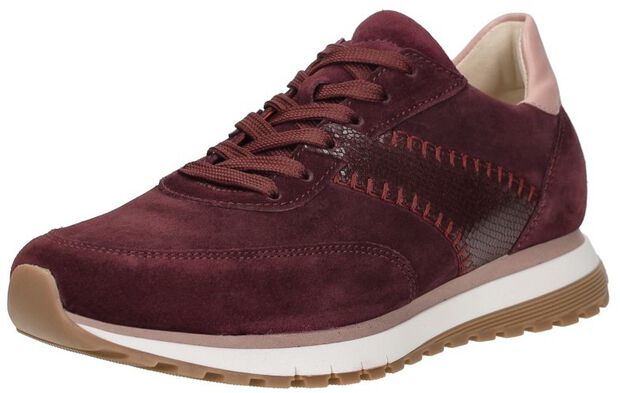 Sneakers Laag - large