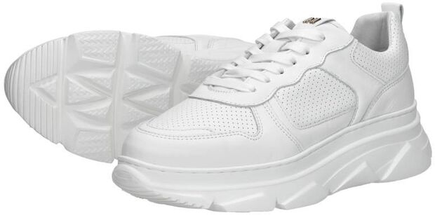 Sneaker low - large