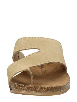 Flip-Flops