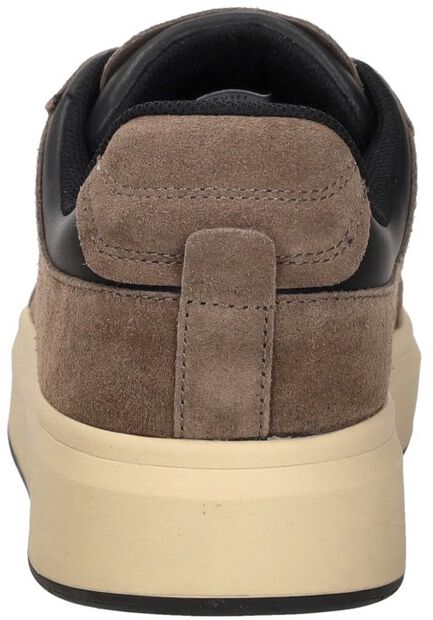Derby Classic - large