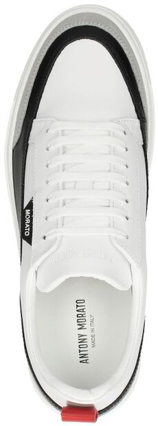 Schnürschuhe low - large