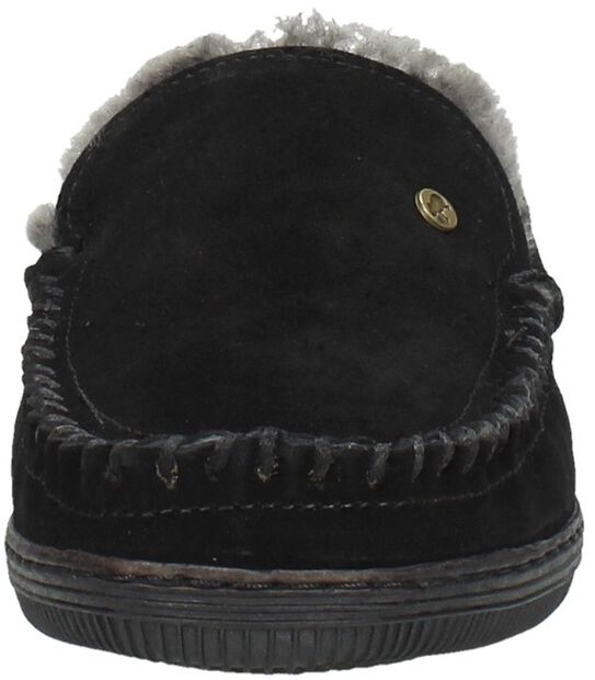Grizzly - large