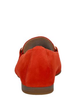 Mocassin