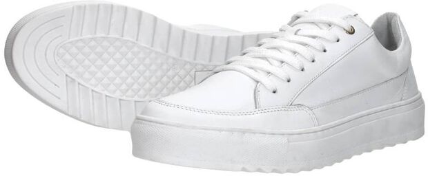 Sneaker low - large
