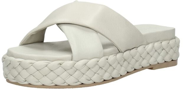 SHS1365 - large