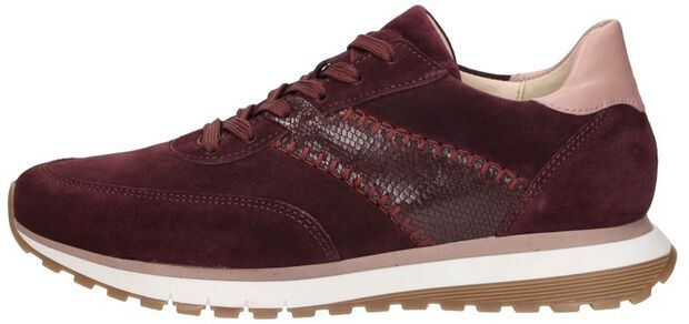 Sneakers Laag - large