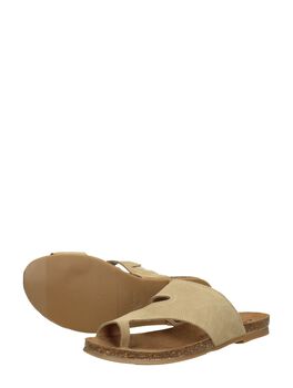 Flip-Flops