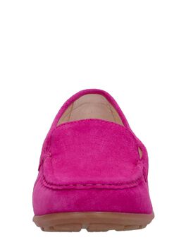 Mocassin