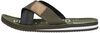 Haig - small