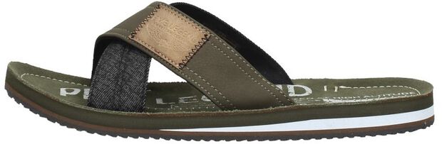 Haig - large