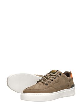 Rovic Cup Low M