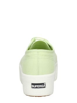 2790 Cotw Linea