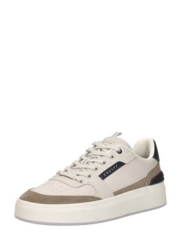 Endorsed Tennis