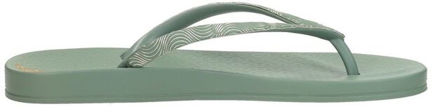 Anatomic Mesh - large