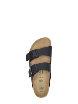 Arizona PAP Flex Platform
