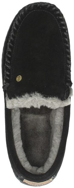 Grizzly - large