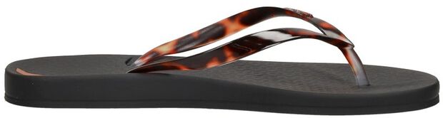 Anatomic Connect - large